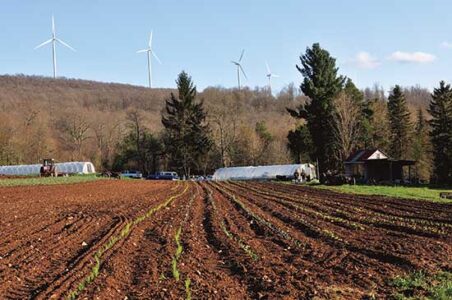 Backbone Food Farm: Growing Kids, Food, and Skills Image
